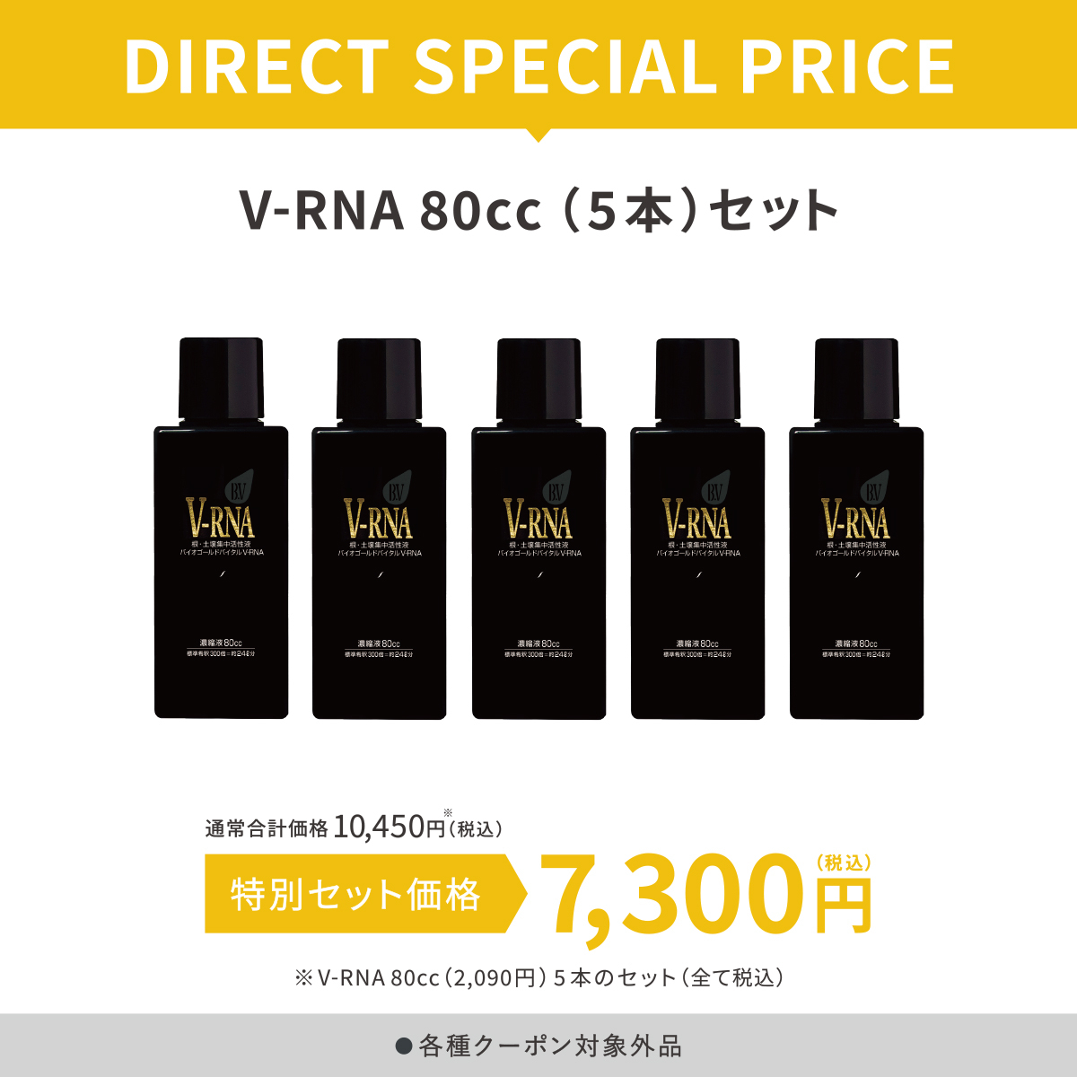 V-RNA80cc（5本）セット