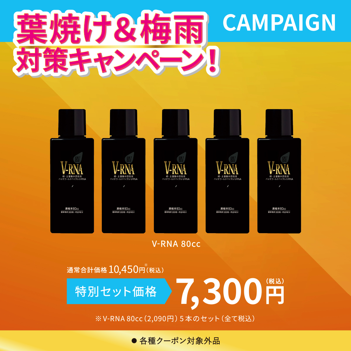 V-RNA80cc（5本）セット