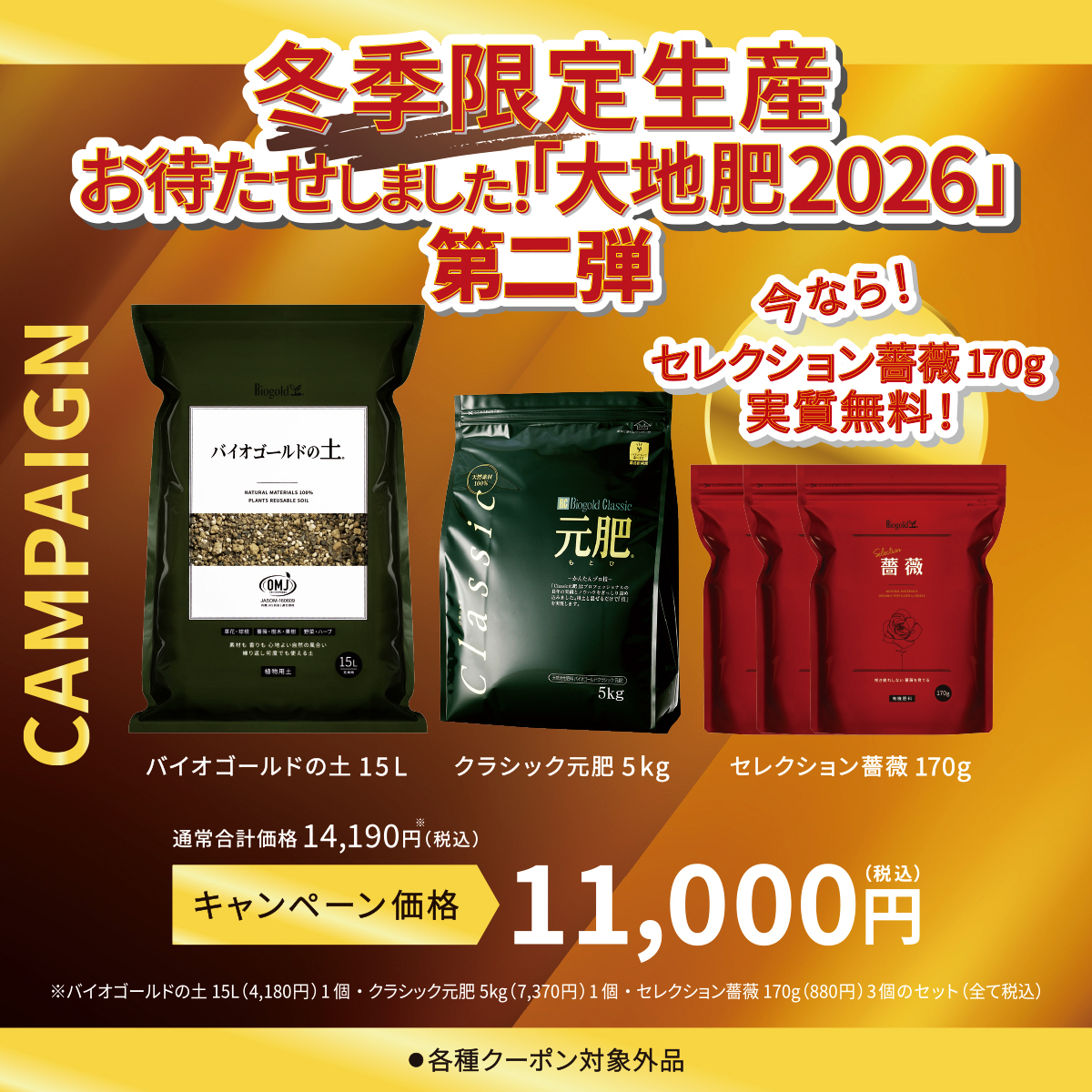 薔薇 Aセット（大地肥2026第二弾）