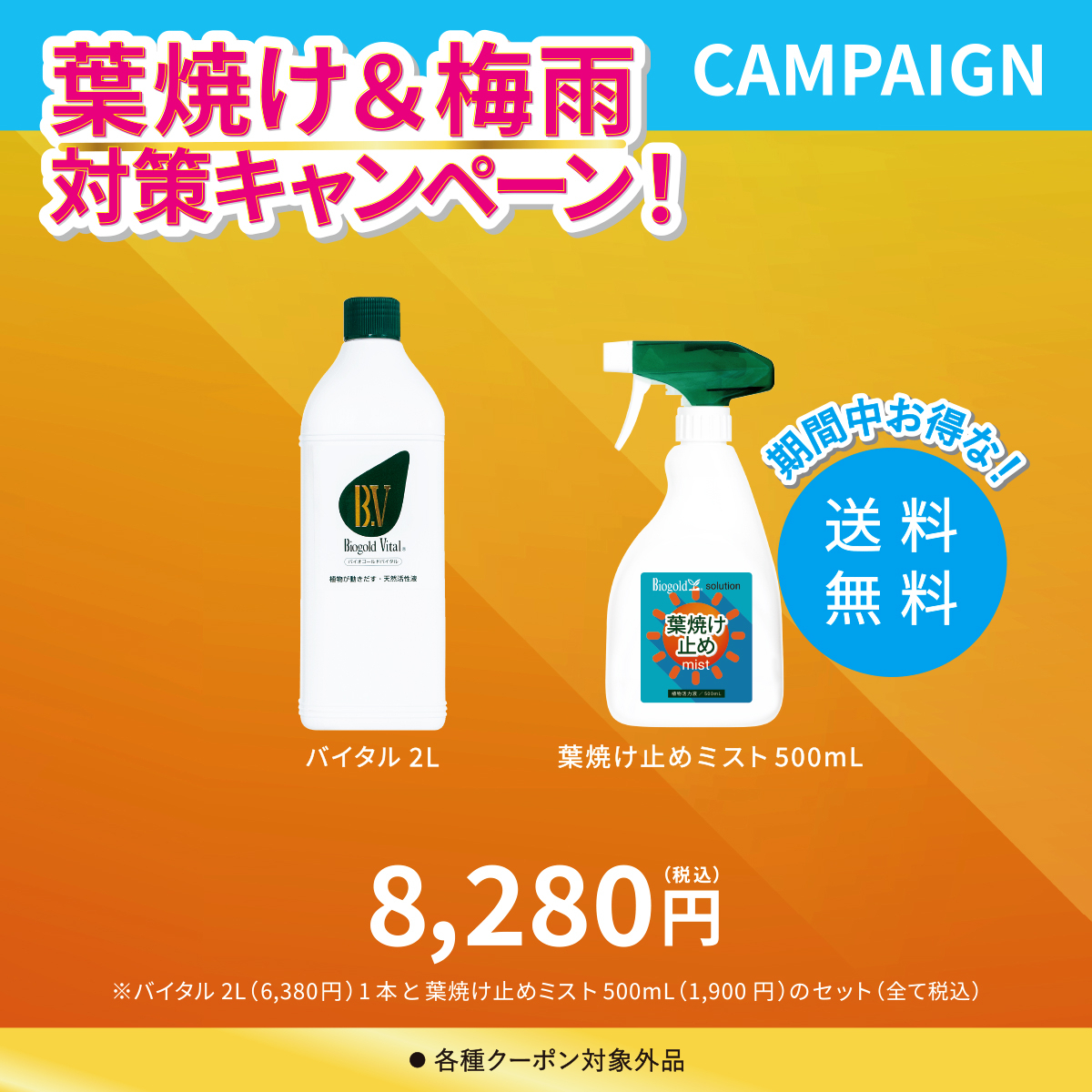 バイタル2L + 葉焼け止めミスト500mL セット