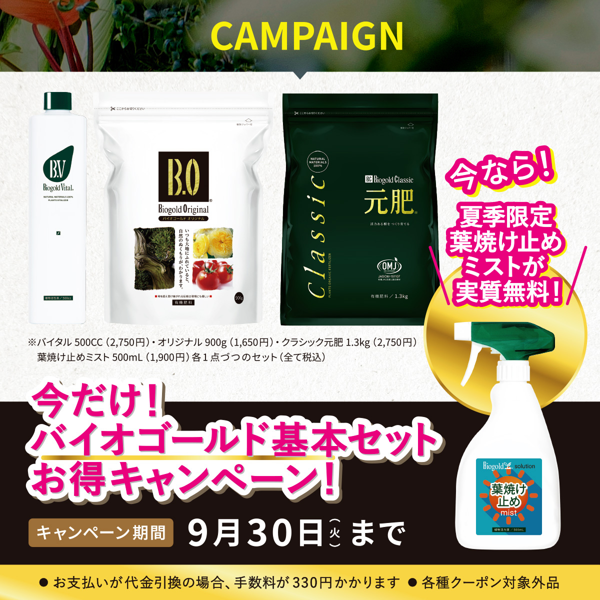 バイオゴールド基本セット（葉焼け止めミスト500mL）付
