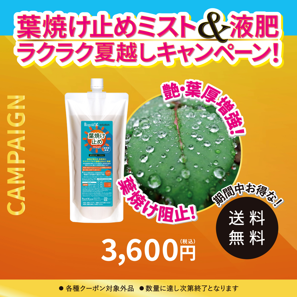 葉焼け止めミスト（希釈用原液）700mL【夏CP】