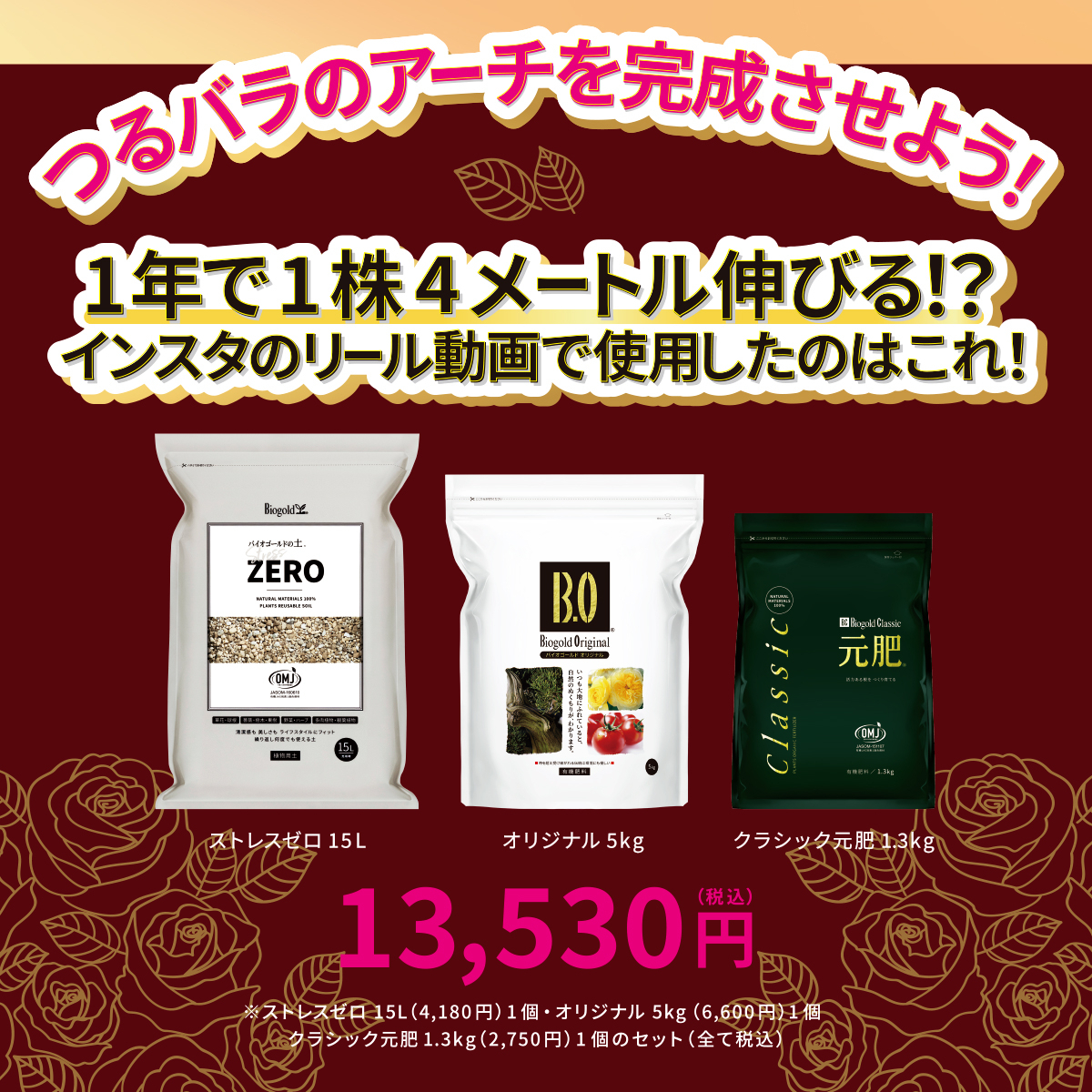 つるバラが1年で1株4メートル伸びる！？フルセット①