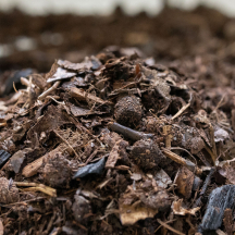 大地肥 5L（大地肥2026キャンペーン）