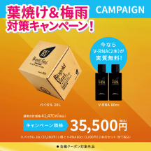 バイタル20L + V-RNA80cc（2本）セット