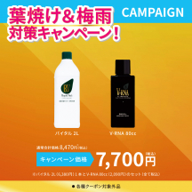 バイタル2L + V-RNA80cc セット