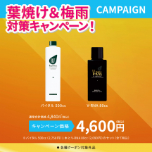 バイタル500cc + V-RNA80cc セット
