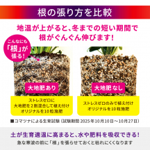 大地肥 5L 3袋セット（大地肥2026キャンペーン）