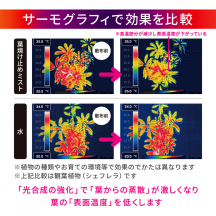 葉焼け止めミスト 500mL