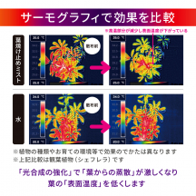 葉焼け止めミスト 500mL