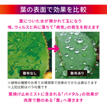 葉焼け止めミスト 500mL