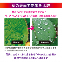 葉焼け止めミスト 500mL