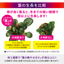 大地肥 30L+ バイオゴールドの土 15Lセット（大地肥2026キャンペーン）