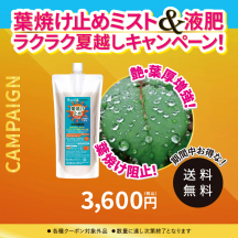 葉焼け止めミスト（希釈用原液）700mL【夏CP】