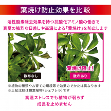 葉焼け止めミスト（希釈用原液）700mL【夏CP】