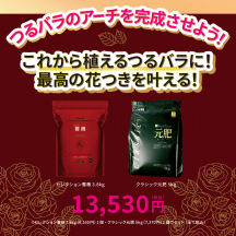 つるバラの最高の花つきを叶えるセット