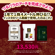 つるバラが1年で1株4メートル伸びる！？フルセット①