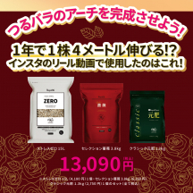 つるバラが1年で1株4メートル伸びる！？フルセット②
