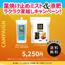 葉焼け止めミスト 700mL・オリジナル900g セット【夏CP】