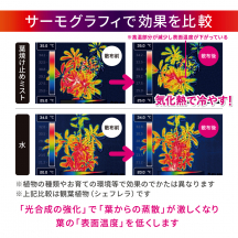 葉焼け止めミスト 700mL・オリジナル900g セット【夏CP】