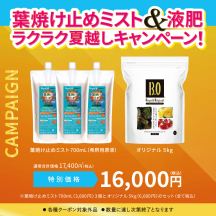 葉焼け止めミスト 700mL 3個・オリジナル5kg セット【夏CP】
