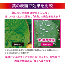 葉焼け止めミスト 700mL 3個・オリジナル5kg セット【夏CP】