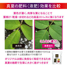 葉焼け止めミスト 700mL 3個・オリジナル5kg セット【夏CP】