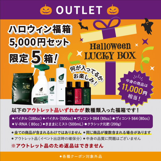 【OUTLET】ハロウィン福箱 5,000円セット