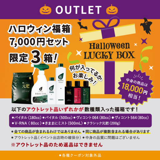 【OUTLET】ハロウィン福箱 7,000円セット