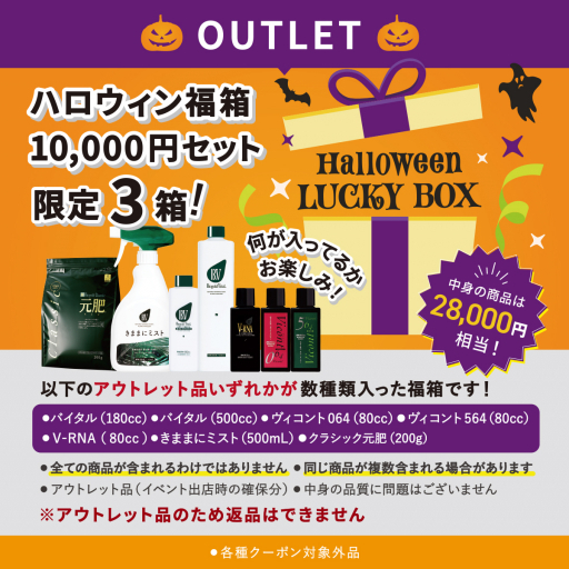 【OUTLET】ハロウィン福箱 10,000円セット