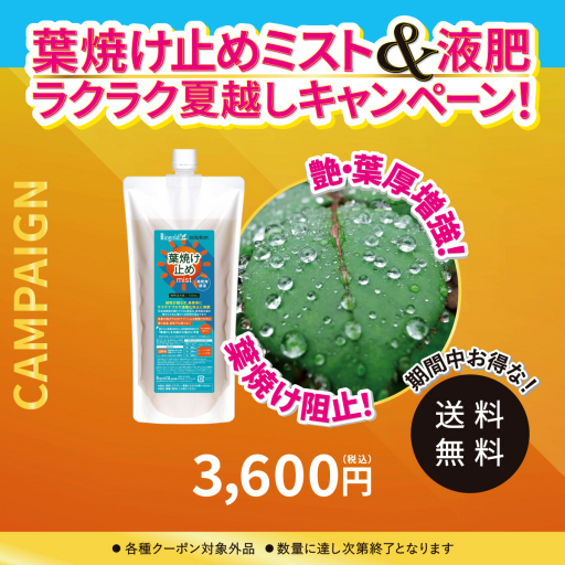葉焼け止めミスト（希釈用原液）700mL【夏CP】