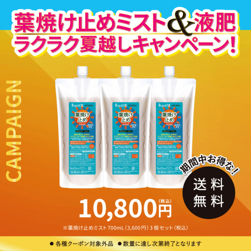 葉焼け止めミスト（希釈用原液）700mL 3個セット【夏CP】